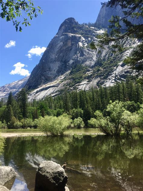 Mirror Lake, Yosemite National Park | California travel road trips, Yosemite, Trip