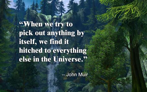 John Muir Quotes. QuotesGram