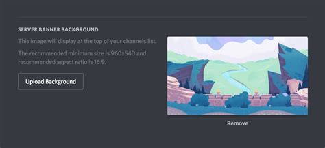 Discord Banner Dimensions 2023 - Design Talk