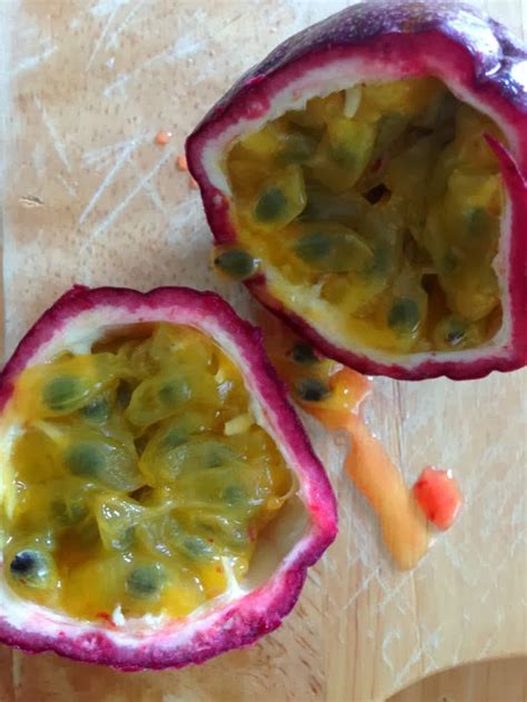 The Rainforest Garden: How to Eat a Passionfruit and Grow the Seeds