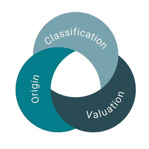 Understanding Customs Compliance: What You Need to Know