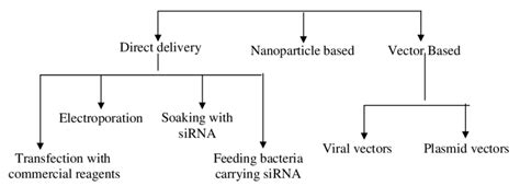 siRNA delivery methods. | Download Scientific Diagram