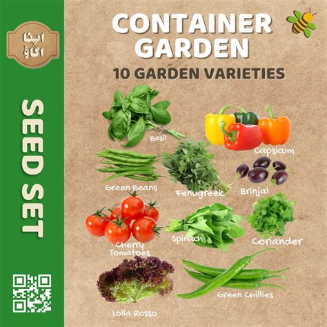 Container gardening vegetable seed Sets online in PAkistan