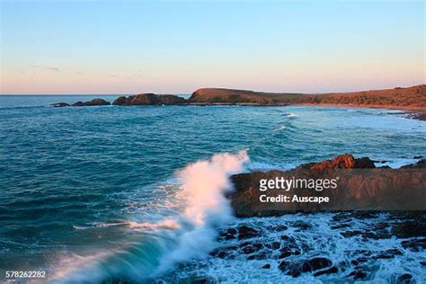 28 Mutton Bird Island Stock Photos, High-Res Pictures, and Images - Getty Images