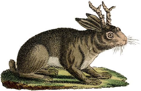 Vintage Rabbit with Horns Image! - The Graphics Fairy