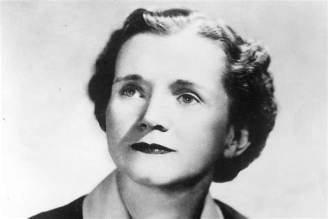 Rachel Carson Quotes on the Environment