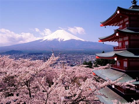 city, 720P, fuji, cherry, blossoms, architecture, mount, mount fuji ...