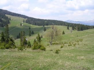 Poze Lunca Ilvei | Imagini Lunca Ilvei | Informații turistice Lunca ...