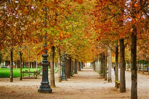 Paris in the Fall: Weather, Festivals, & Things to Do (2023) - Roaming ...