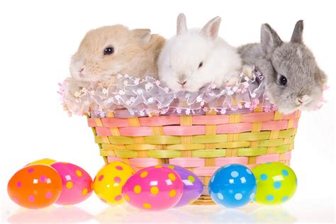 Holidays, Easter, Rabbits, Eggs, Wicker basket, HD Wallpaper | Rare Gallery