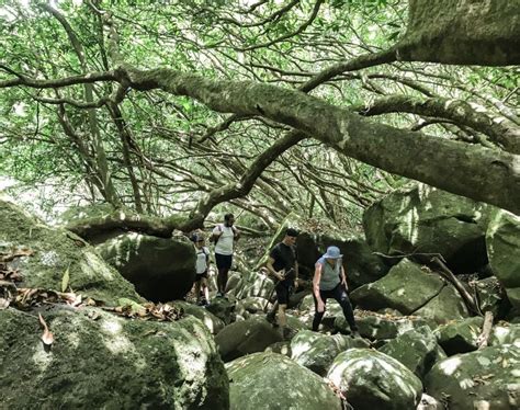 Best Hiking Trails in Mauritius: Trekking Routes to Check in 2024