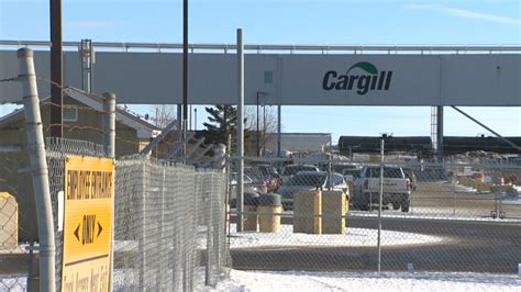 OHS opens investigations at JBS and Cargill plants following worker's death | CTV News