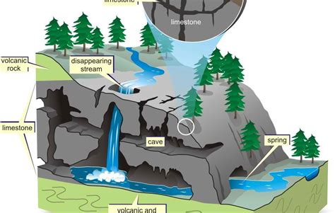 Source Rocks: Karst Topography