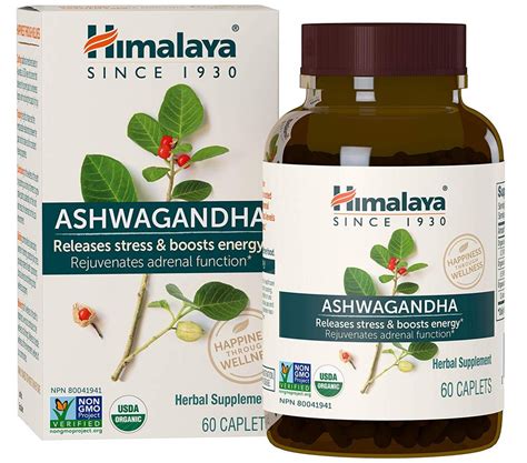 10 Best Ashwagandha Supplements (Helpful Review) | DrugsBank