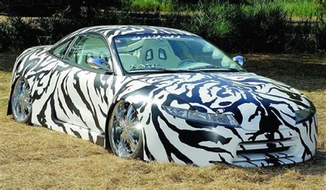 Custom Auto Paint Job - Sports Cars Dressed Up as Zebras