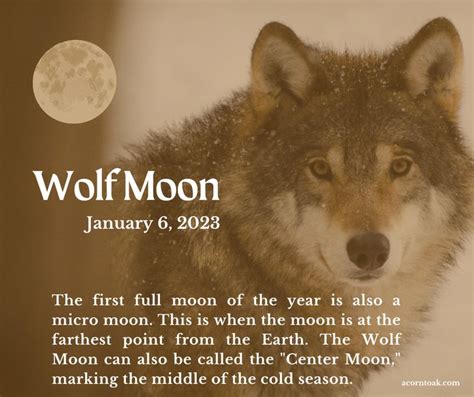 Wolf Moon | Full moon, January full moon, Wolf moon