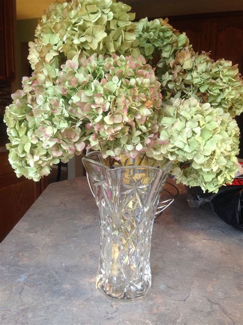 Dried hydrangea arrangement | My creations | Pinterest | Hydrangea and ...