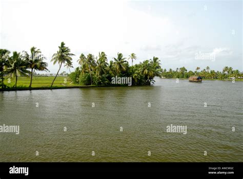 THE BACKWATERS OF ALLEPPEY Stock Photo - Alamy