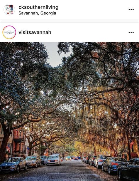 Landscape in Savannah. : r/savannah