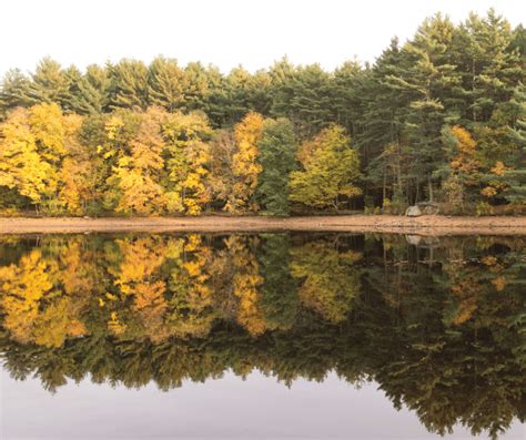 New Hampshire Fall Foliage- 12 Top Spots for NH Fall Color