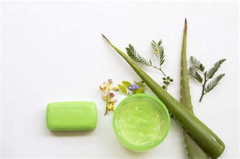 How to Make Moisturizing Aloe Vera Soap - Step To Health