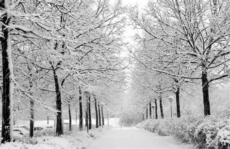 Winter Detox: Revamp Your Health in the Colder Months Cute Backgrounds, Backgrounds Desktop ...