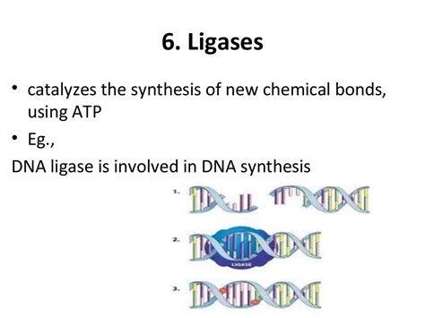 Classification of enzymes