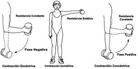 FUERZA - ENTRENAMIENTO DEPORTIVO BALONCESTO