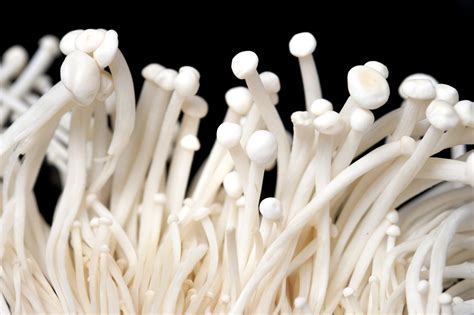 Enoki Mushrooms Grow