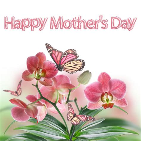 Happy Mothers Day Pictures, Photos, and Images for Facebook, Tumblr ...