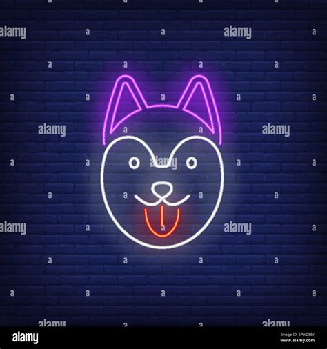 Funny cat face neon sign Stock Vector Image & Art - Alamy