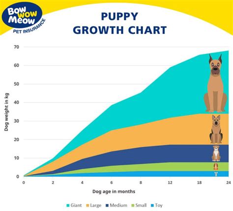 Printable Puppy Growth Chart