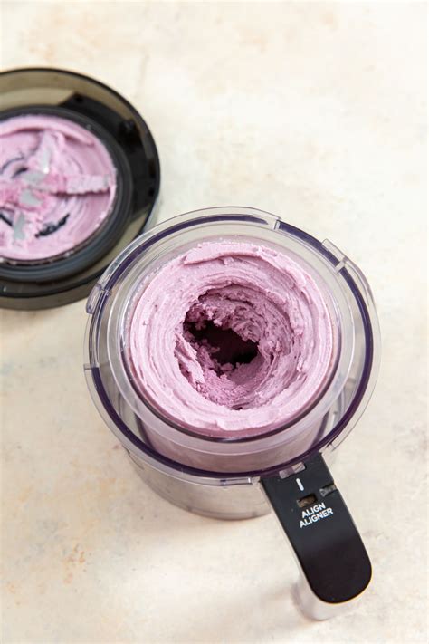 Blueberry Frozen Yogurt Recipe | Ninja Creami - Lara Clevenger