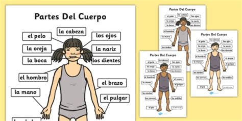 Body Labelled in Spanish - Parts of the Body A4 Spanish