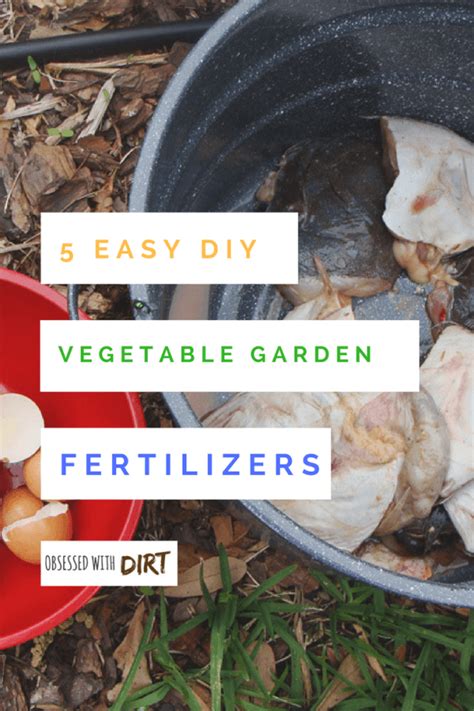 5 Of The World's Best Homemade Vegetable Garden Fertilizers