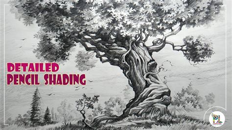 Learn How to Sketch and Shade A Detailed Tree with Pencil | Easy Pencil Art - YouTube