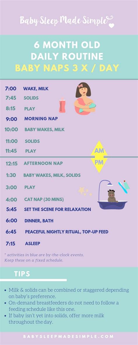 Sleep Training Tips for Your 6 Month Old Baby | Baby schedule, Sleep ...