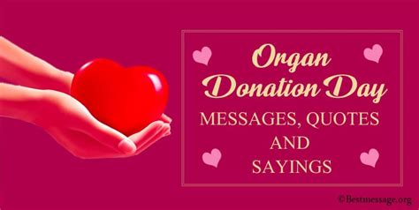 Organ Donation Day Messages, Slogans, Quotes and Sayings