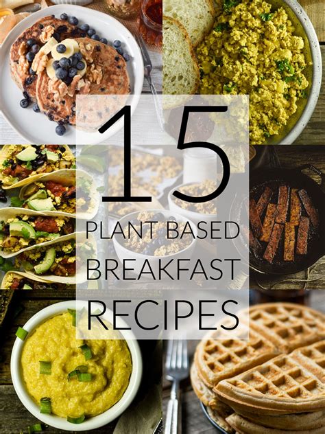 15 Plant Based Breakfast Recipes - Shane & Simple