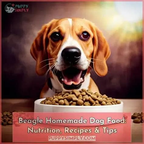 Beagle Homemade Dog Food: Nutrition, Recipes & Tips