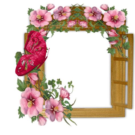 Wooden Winow with Flowers and Butterfly Transparent Frame | Gallery ...