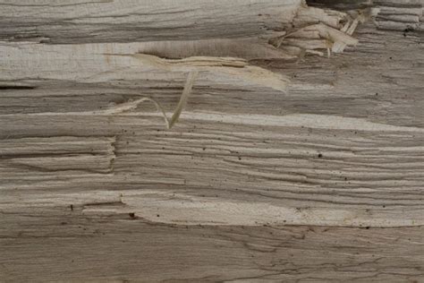 Free Texture Tuesday: 5 Split Wood Textures - Bittbox