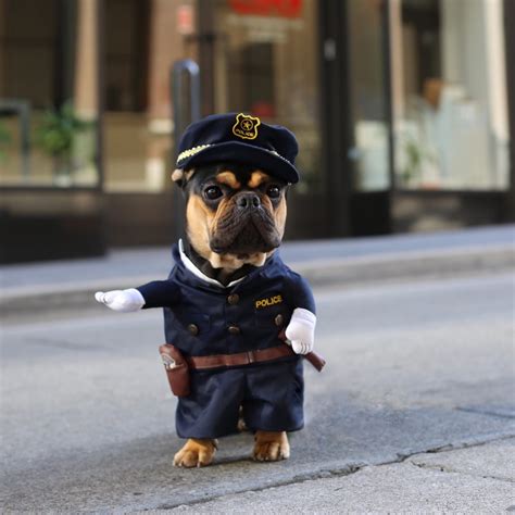 Cute Police Officer Dog Costume - Costume Yeti