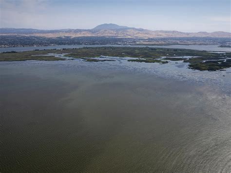 The Bay-Delta ecosystem is collapsing. California just unveiled rival ...