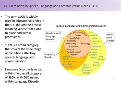 Developmental Language Disorder (DLD): The consensus explained