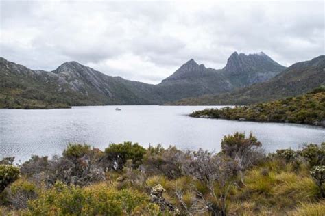 20+ Things to Do in North West Tasmania in 2024 - Travelsewhere