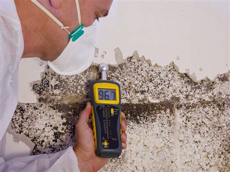 Mold Inspection and Mold Testing - Home Shield Environmental