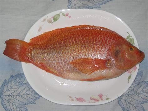 File:Tilapia food dish.jpg - Wikimedia Commons