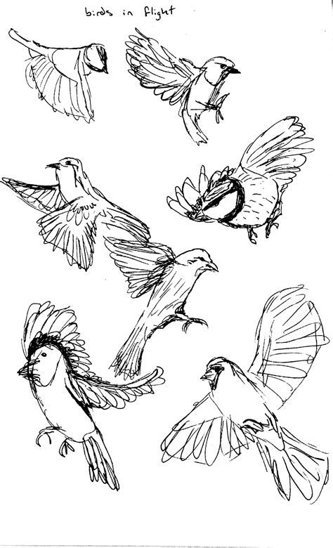 Free Flying Bird Drawing, Download Free Flying Bird Drawing png images ...