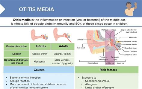 Otitis Media Care Plan - photos and vectors